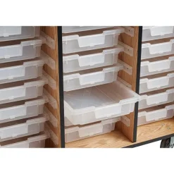 Bin Storage Mobile Science Cabinet with Chem-Res Top (48" x 28")