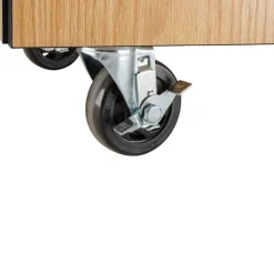 Bin Storage Mobile Science Cabinet with Chem-Res Top (48
