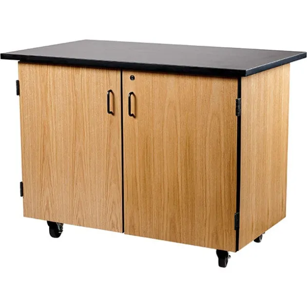 Bin Storage Mobile Science Cabinet with Chem-Res Top (48" x 28")