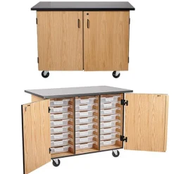 Bin Storage Mobile Science Cabinet with Chem-Res Top (48