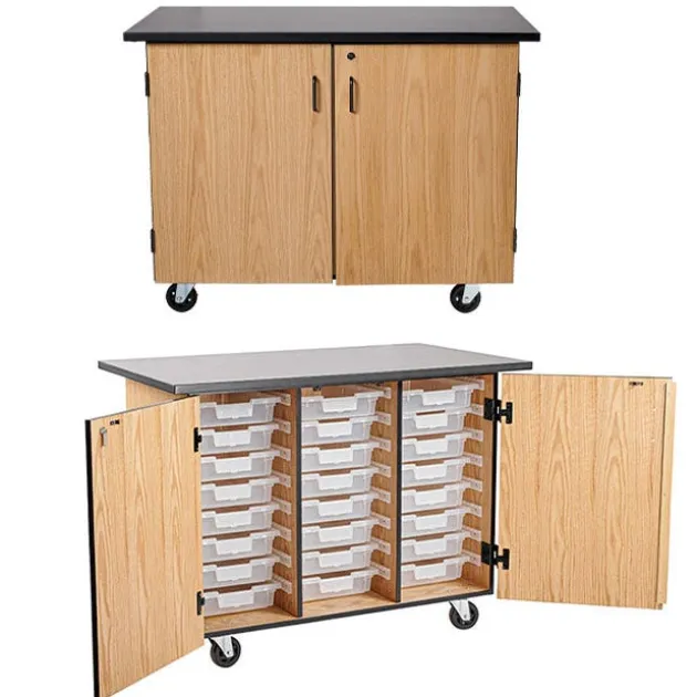 Bin Storage Mobile Science Cabinet with Chem-Res Top (48" x 28")