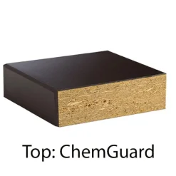 Caprock Economy Science Lab Table with ChemGuard Top - 24" x 54"
