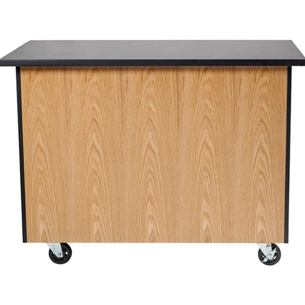 Demo Mobile Science Cabinet with Chem-Res Top (48" x 28")