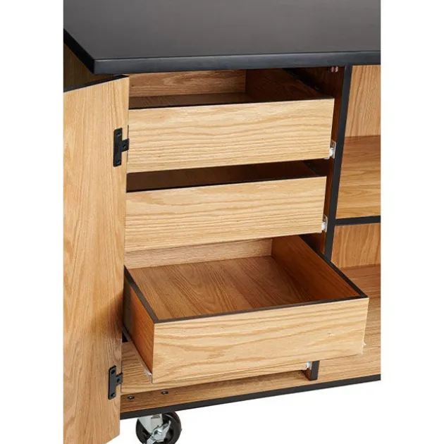 Demo Mobile Science Cabinet with Chem-Res Top (48" x 28")