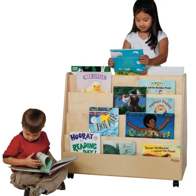 Double Sided Book Display
