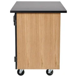 Economy Mobile Science Cabinet with Chem-Res Top (48