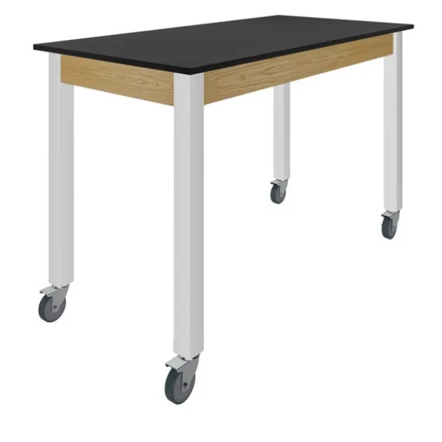 30" H Hybrid Steel Table w/ Phenolic Top & Casters (60” W X 24” D)