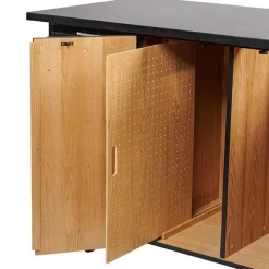 Instructor Mobile Science Cabinet with Chem-Res Top (48