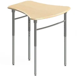 Kaleidoscope Vertebrae Student Desk