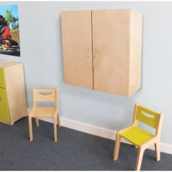 Lockable Wall Cabinet