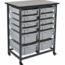 Mobile Bin Storage Units