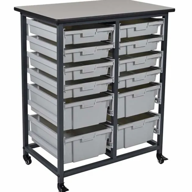 Mobile Bin Storage Units