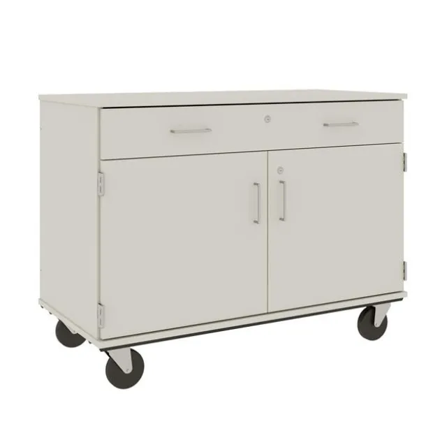 Mobile Door/Drawer Storage Unit