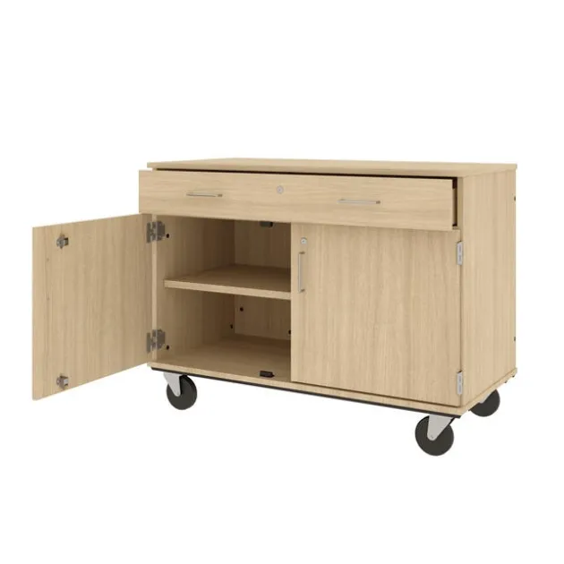 Mobile Door/Drawer Storage Unit