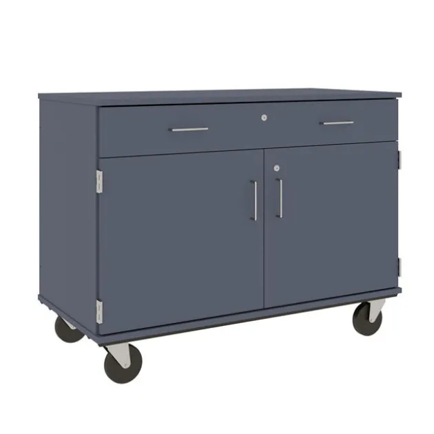 Mobile Door/Drawer Storage Unit