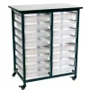 Mobile Double Row Clear Bin Storage Units