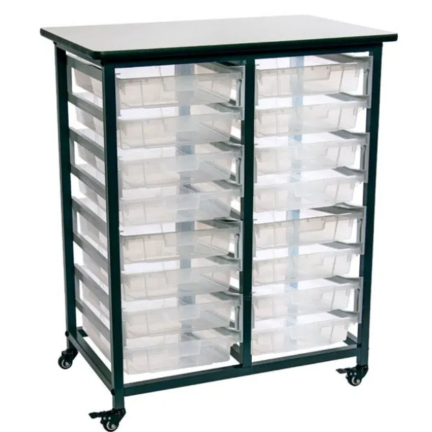 Mobile Double Row Clear Bin Storage Units