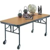 Mobile Folding Utility Tables