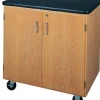 Mobile Science Storage Cabinets