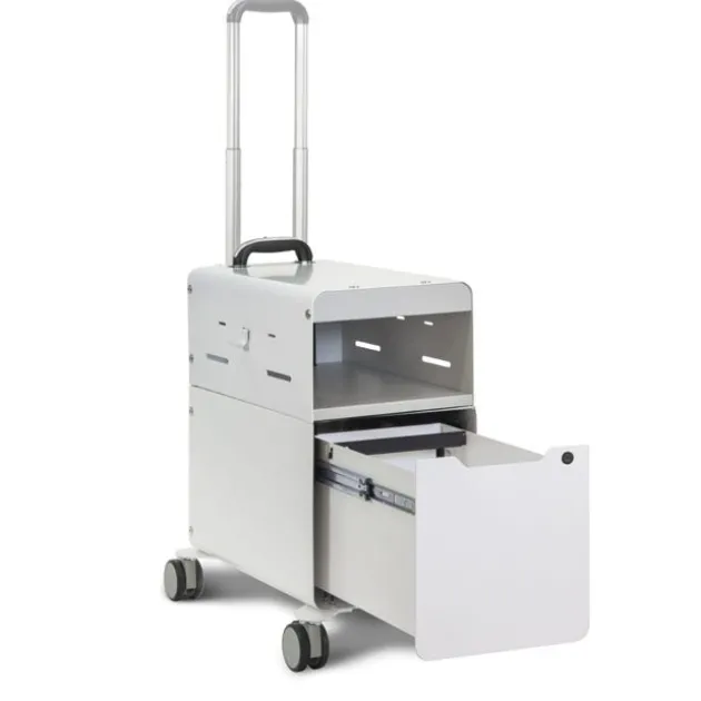 Odie Personal Storage Companion
