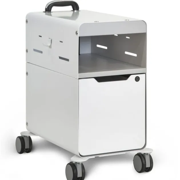 Odie Personal Storage Companion