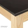 Phenolic Resin Science Lab Table (60'' x 42'')
