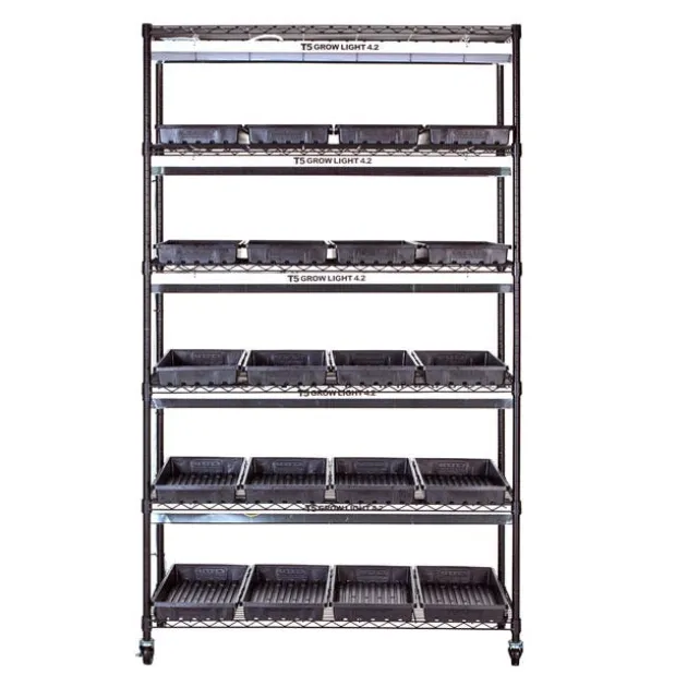 Plant Growing Stand