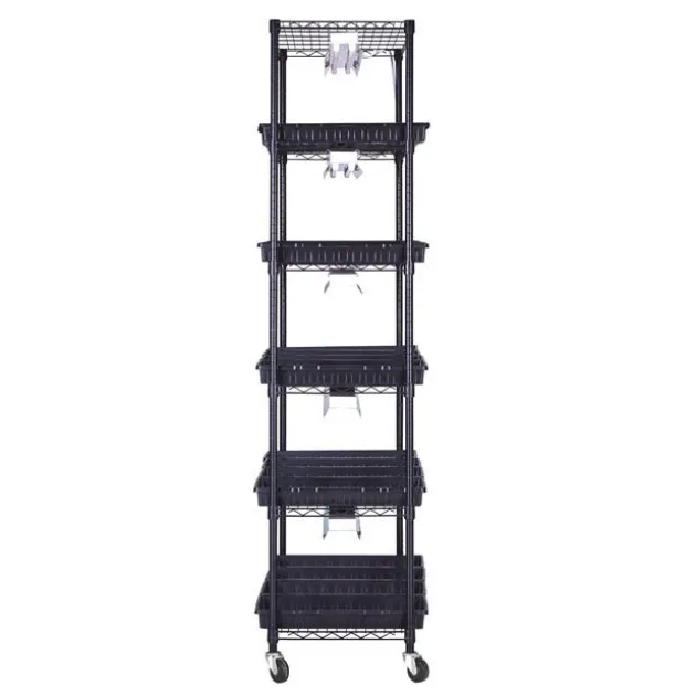 Plant Growing Stand