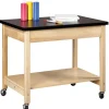 Portable Demo Table with Shelf Storage