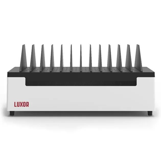 12-Port Charging Station