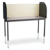 Sit-Stand Training Carrels