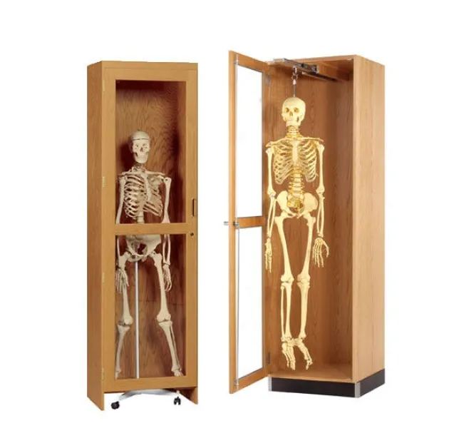 Skeleton Science Cabinet