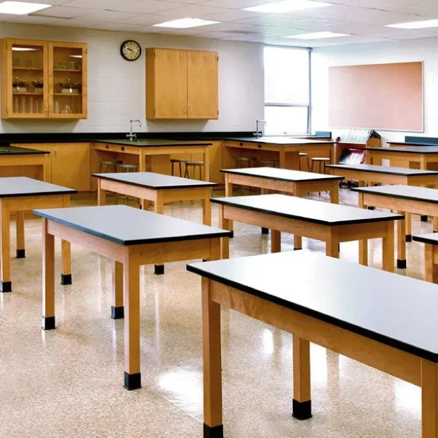 Solid Epoxy Resin Top Hardwood Science Table (24'' D X 48'' W)