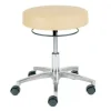 Vinyl Professional Lab Stools